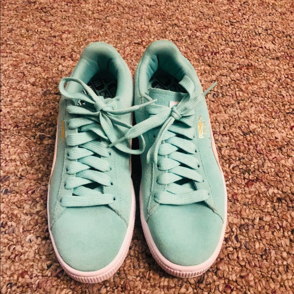 Teal pumas